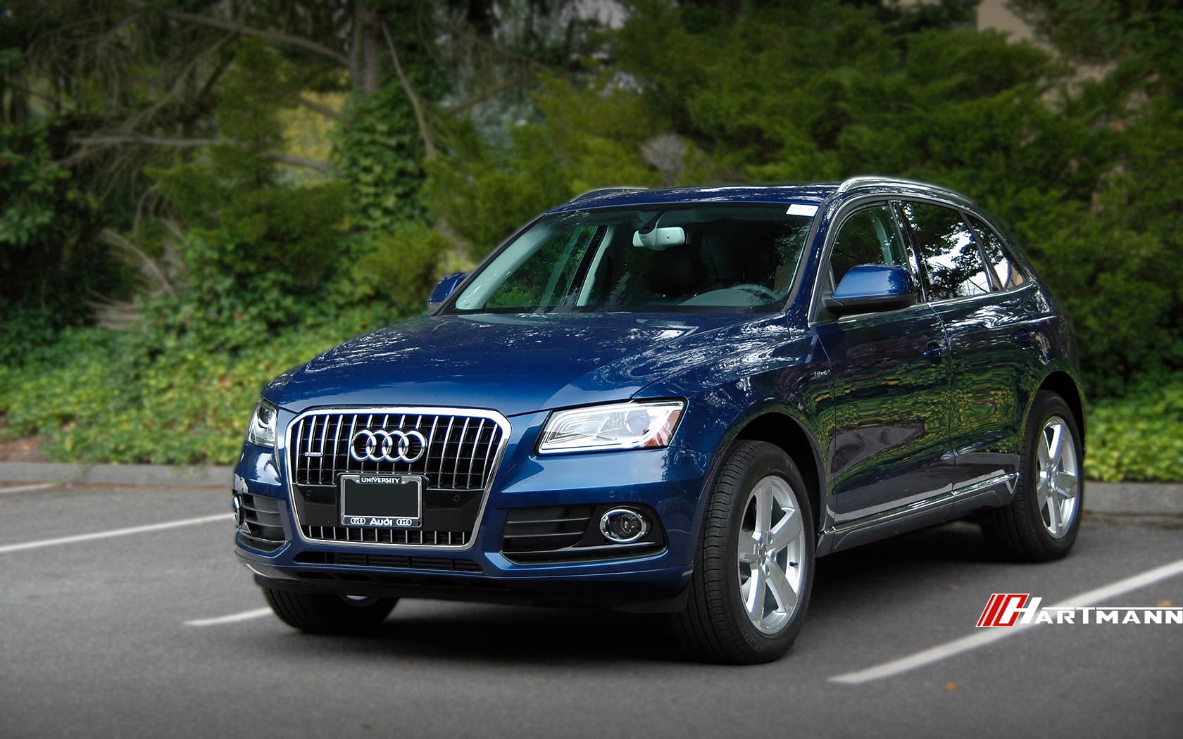 Audi B8 Q5 Hartmann Wheels HRS6 172 GS 19 UA1 HWM