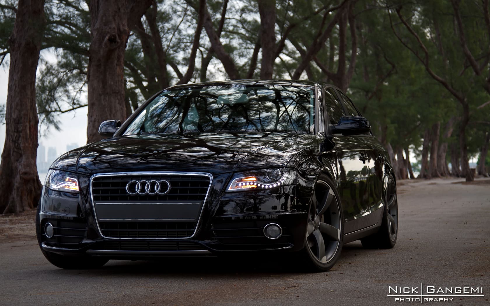 Hartmann HTT-256-MA:M wheel in Matte Anthracite